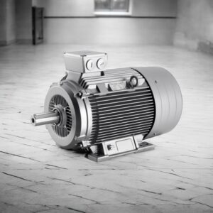 MOTOARE ELECTRICE SI BENZINA